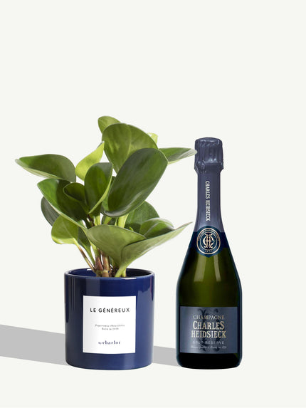 Coffret Brut