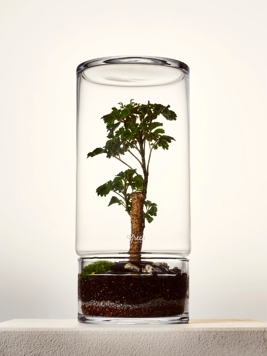 Terrarium Totem standard